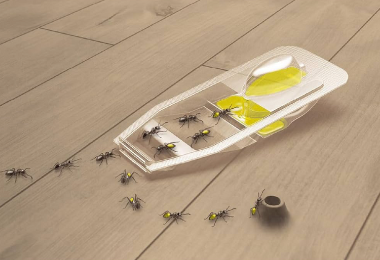 Naravne pasti za nadležne obiskovalce 🐜🚫